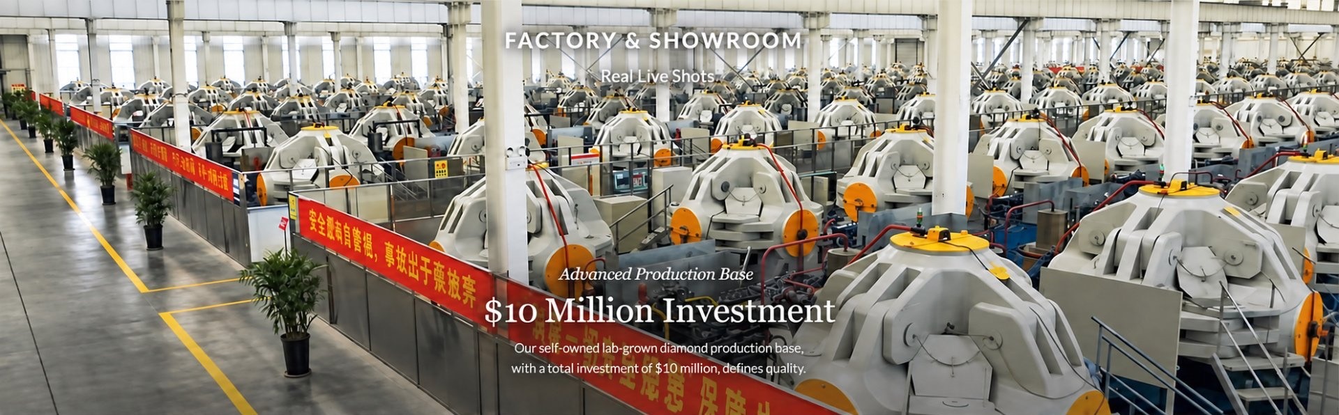Factory and showroom — advanced production base
